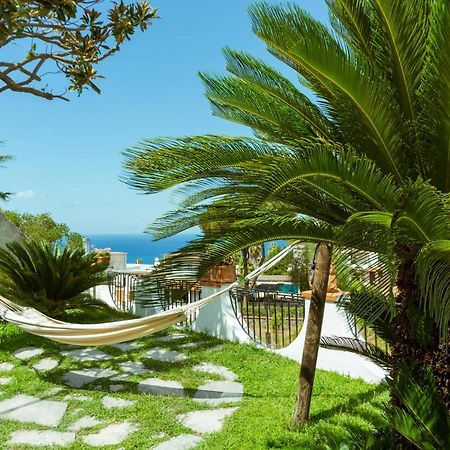 Villa Araucaria Casamicciola Terme Dış mekan fotoğraf