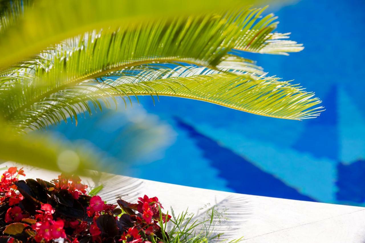 Villa Araucaria Casamicciola Terme Dış mekan fotoğraf